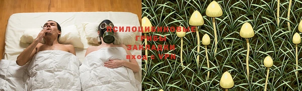 бошки Аркадак