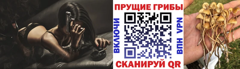 наркотики  Барабинск  blacksprut рабочий сайт  Галлюциногенные грибы Cubensis 